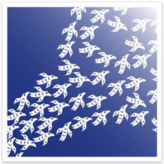 Birds of Change
