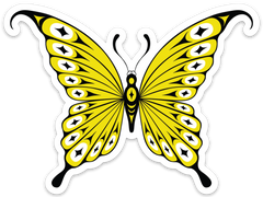 The Beauty of Change
