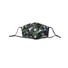 Salish Stealth