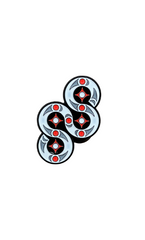 Salish Style Logo